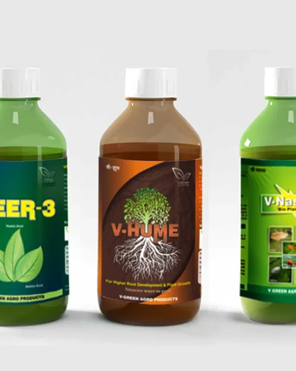 packaging Presentation by Factions 1